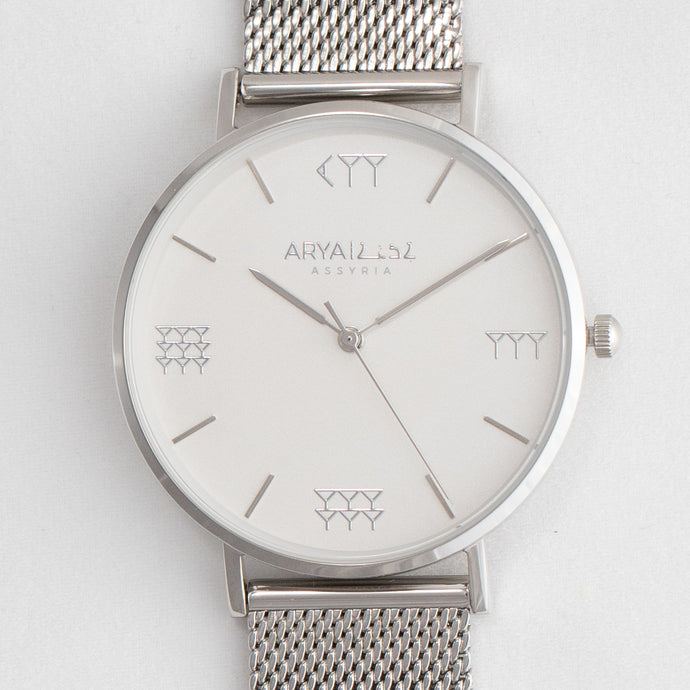 White and Silver 38 mm Silver Mesh Arya Watch